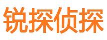 溆浦市私家侦探